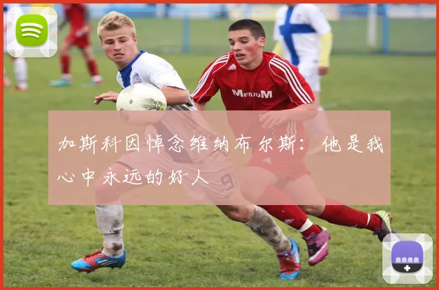 加斯科因悼念维纳布尔斯：他是我心中永远的好人